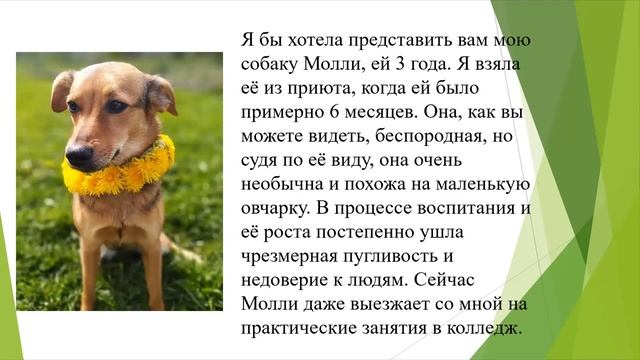 Федорков Андрей Николаевич «Мероприятие для учащихся образовательных учреждений: Start Up Plus»