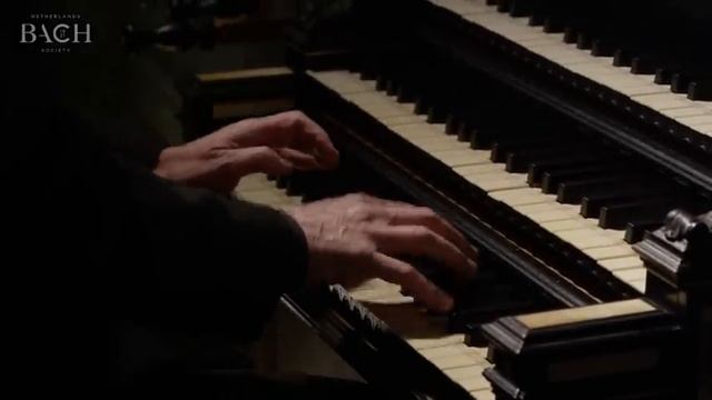 Bach - Sinfonia From Cantata BWV 29  Netherlands Bach Society
