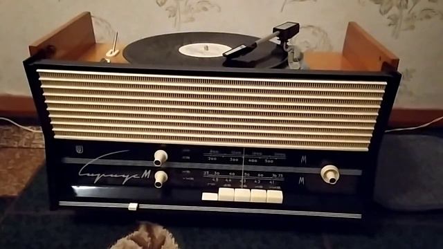 Vinyl Record Player Sound! Виниловый проигрыватель звук!