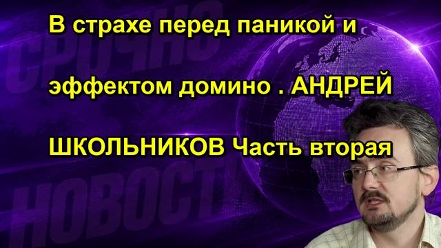 В страхе перед паникой и эффектом домино . АНДРЕЙ ШКОЛЬНИКОВ Часть вторая