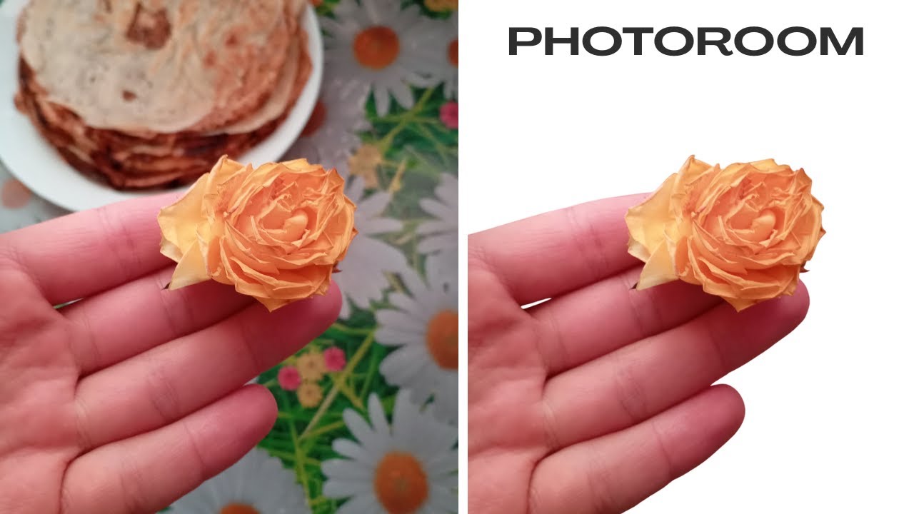 Бесплатный AI инструмент для удаления фона фото в высоком разрешении Photoroom