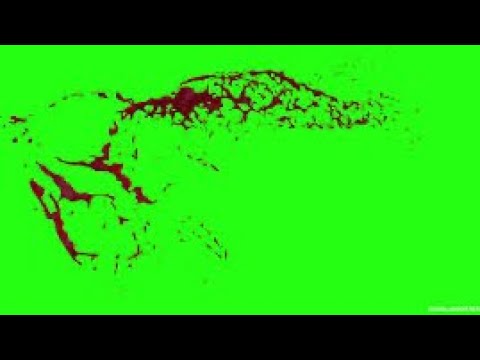 Футаж крови и кишков 4К