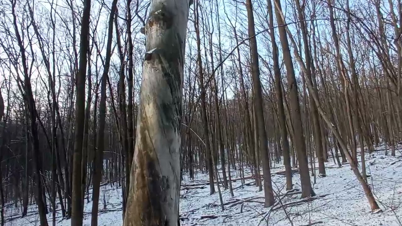 Старая Сосна - Олимпик Воронеж зима 2025