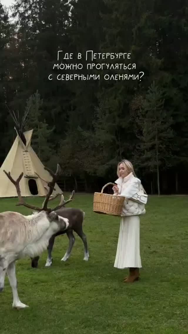 ″Лесная Избушка″ Заповедник северных оленей СПб