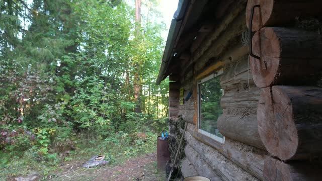 летняя рыбалка