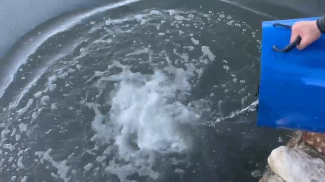 ? Зарыбление