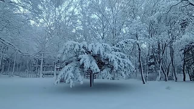 Мои песни
