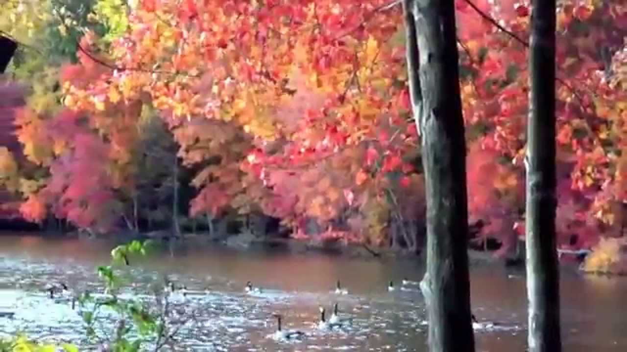 Уж небо осенью дышало... Already the heavens were autumn breathing