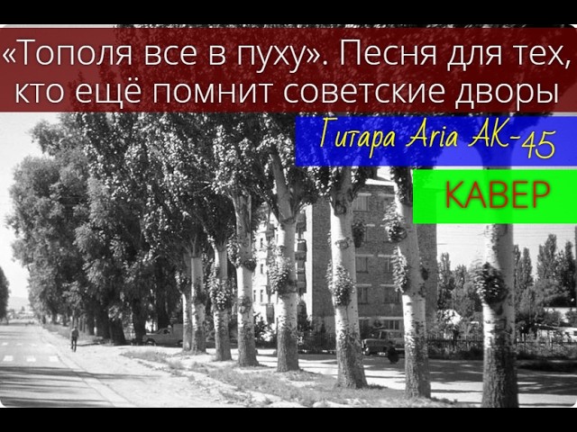 Тополя все в пуху / Тополя / Дворовые песни СССР / КАВЕР / Гитара Aria AK-45 / 11.05.2026
