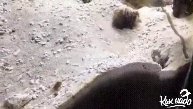 БЫВАЕТ
