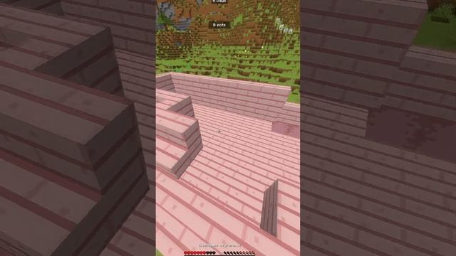Играю и развиваюсь на СМП Айпи : Roskolotka.gamepvp.ru и описании версия 1.21.11