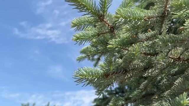 ПОЛНОЛУНИЕ 14 ИЮНЯ 2022. Что можно и нельзя делать в полнолуние. Ритуалы и обряды.