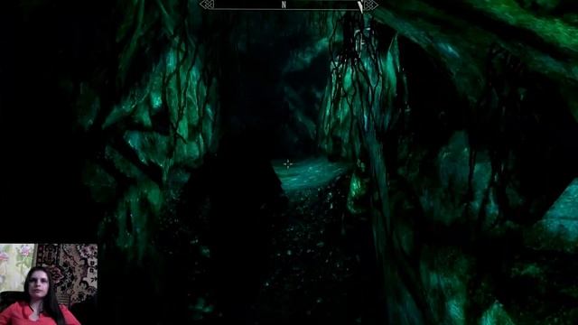 The Elder Scrolls 5 Skyrim 
