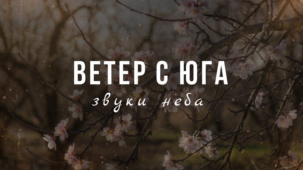 ВЕТЕР С ЮГА | у Бога для тебя хорошие планы на эту весну #песняолюбви #христианскиепесни #весна