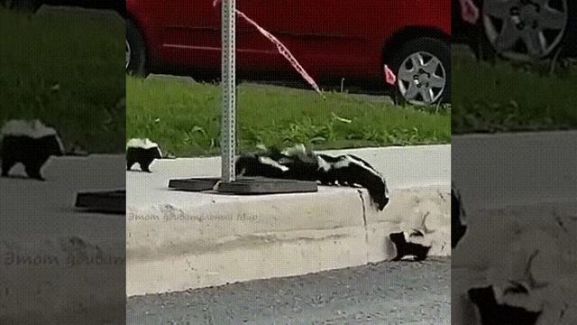 БЫВАЕТ