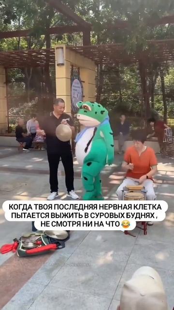 MOV_20260929_070817_212