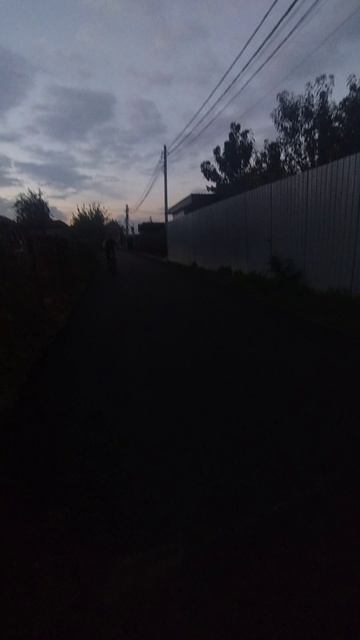 4098.mp4