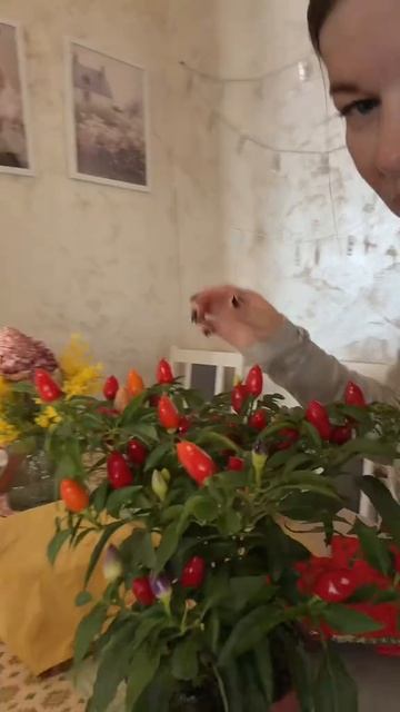 Всем хорошего вторника #уралочка #уральскаядевушка