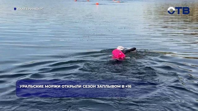 Уральские моржи открыли сезон заплывом в 16