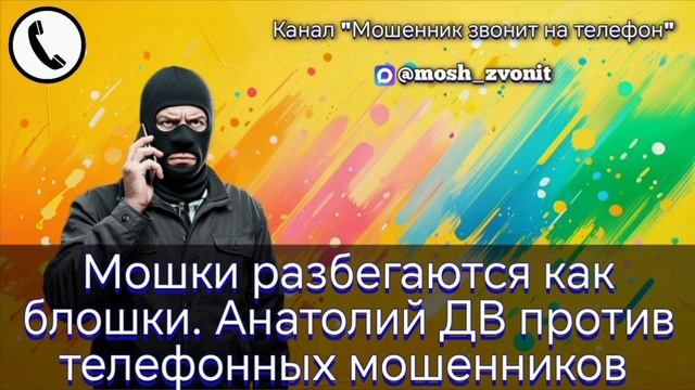 Мошки разбегаются как блошки. Анатолий ДВ против телефонных мошенников