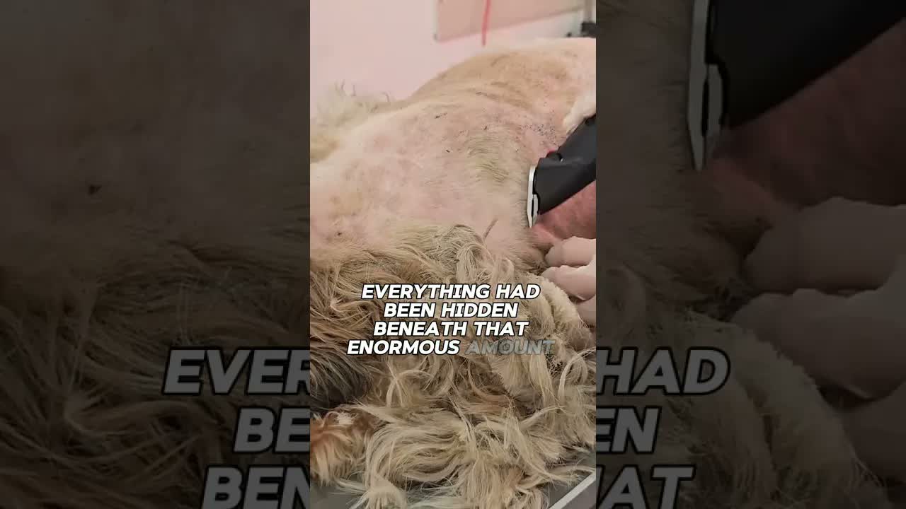 Мы понятия не имели, что было под этим...