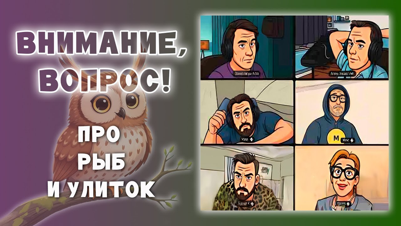 60 секунд из стрима Что? Где? Когда? Внимание вопрос про рыб и улиток