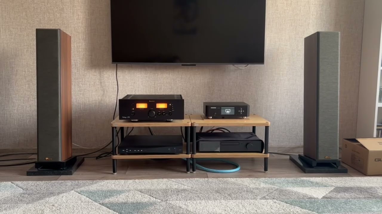 Прослушивание цапа DCS Debussy и транспорта SoundAware D100pro Deluxe