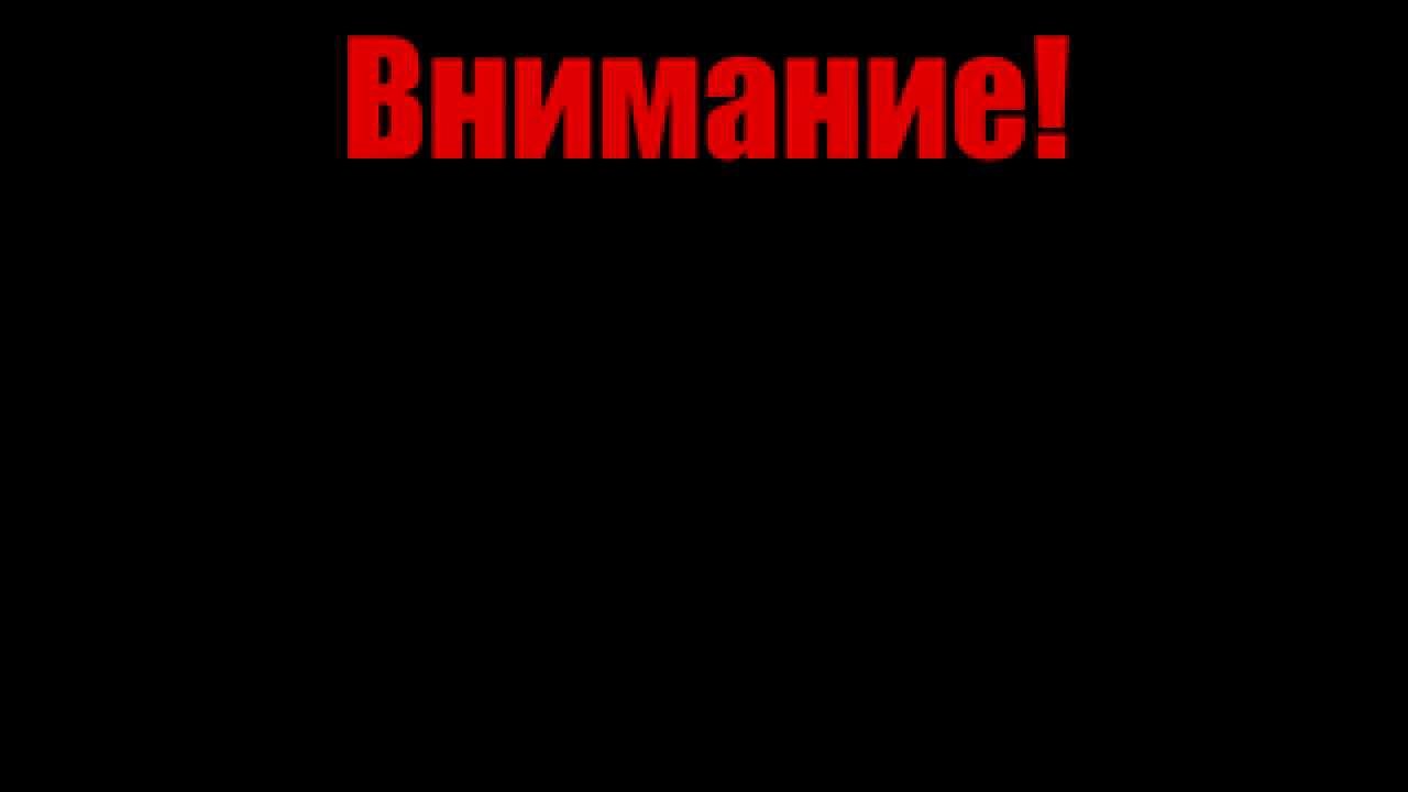 Дисклеймер