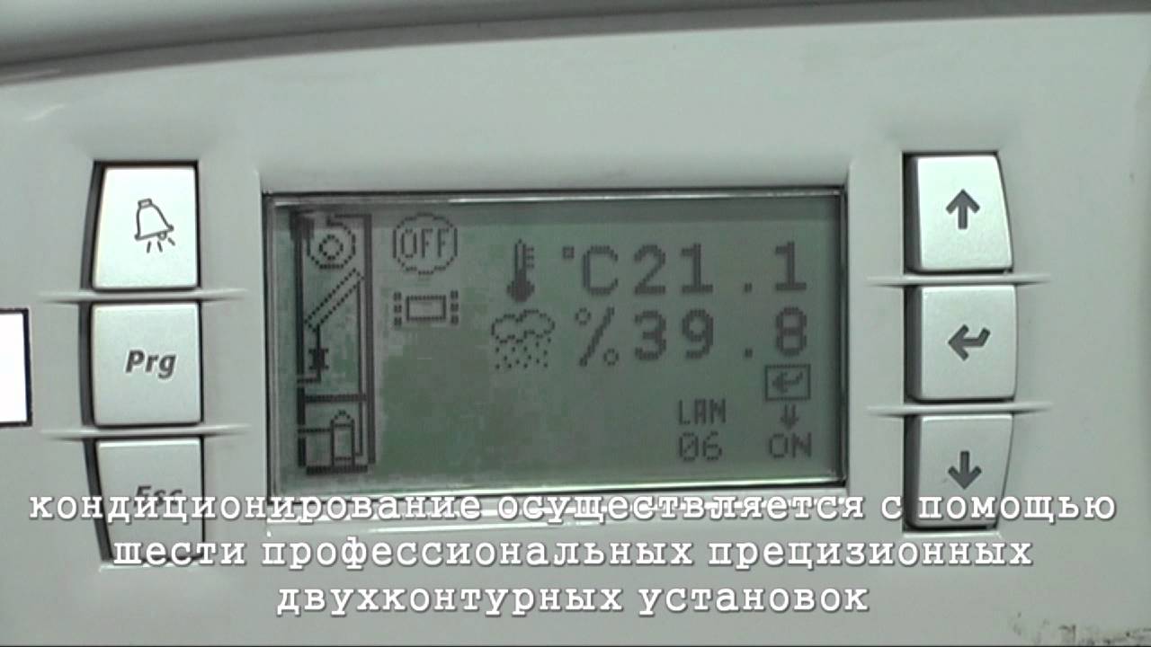 TEL Hosting.mpg