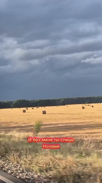 Самые честные песни рождаются не в тишине студий, а вот так — наедине с дорогой