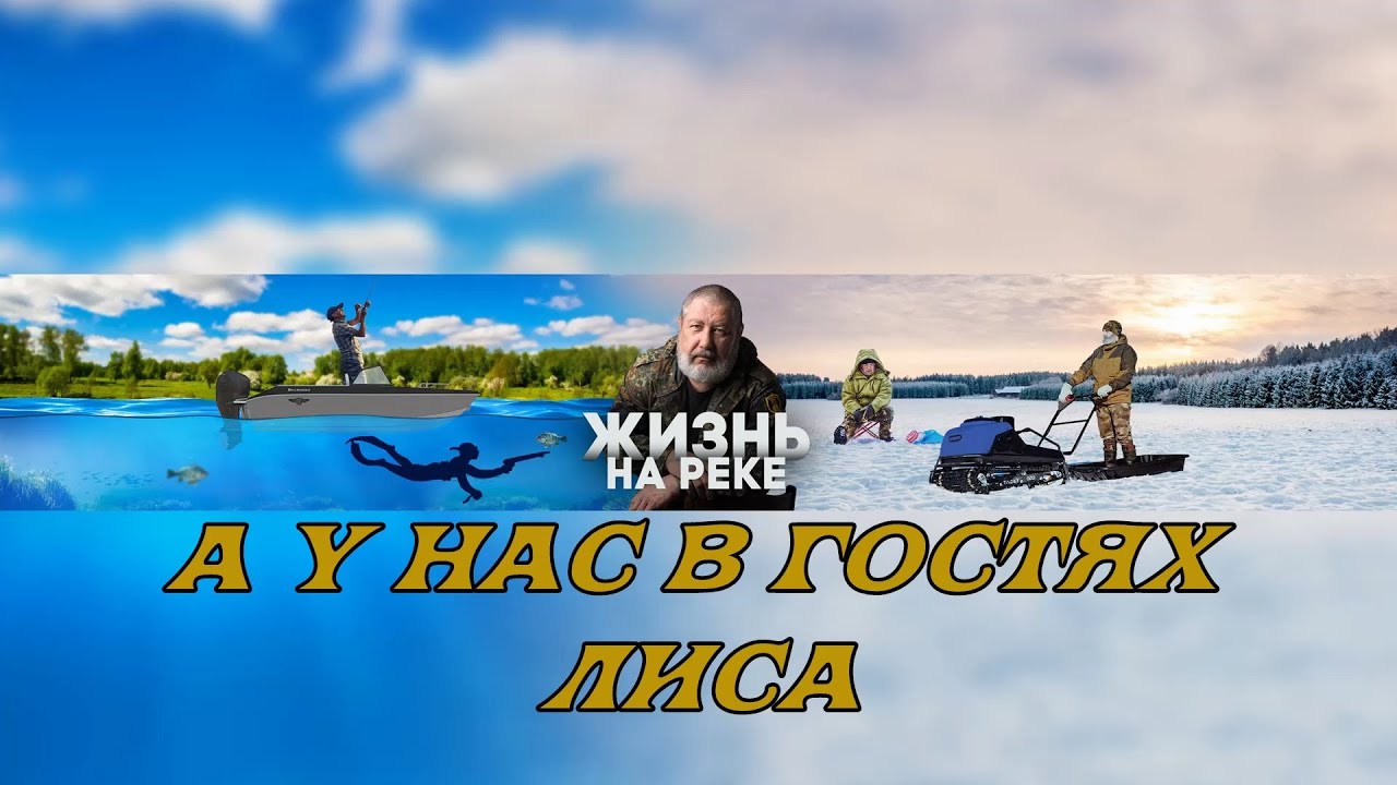 А У НАС В ГОСТЯХ ЛИСА