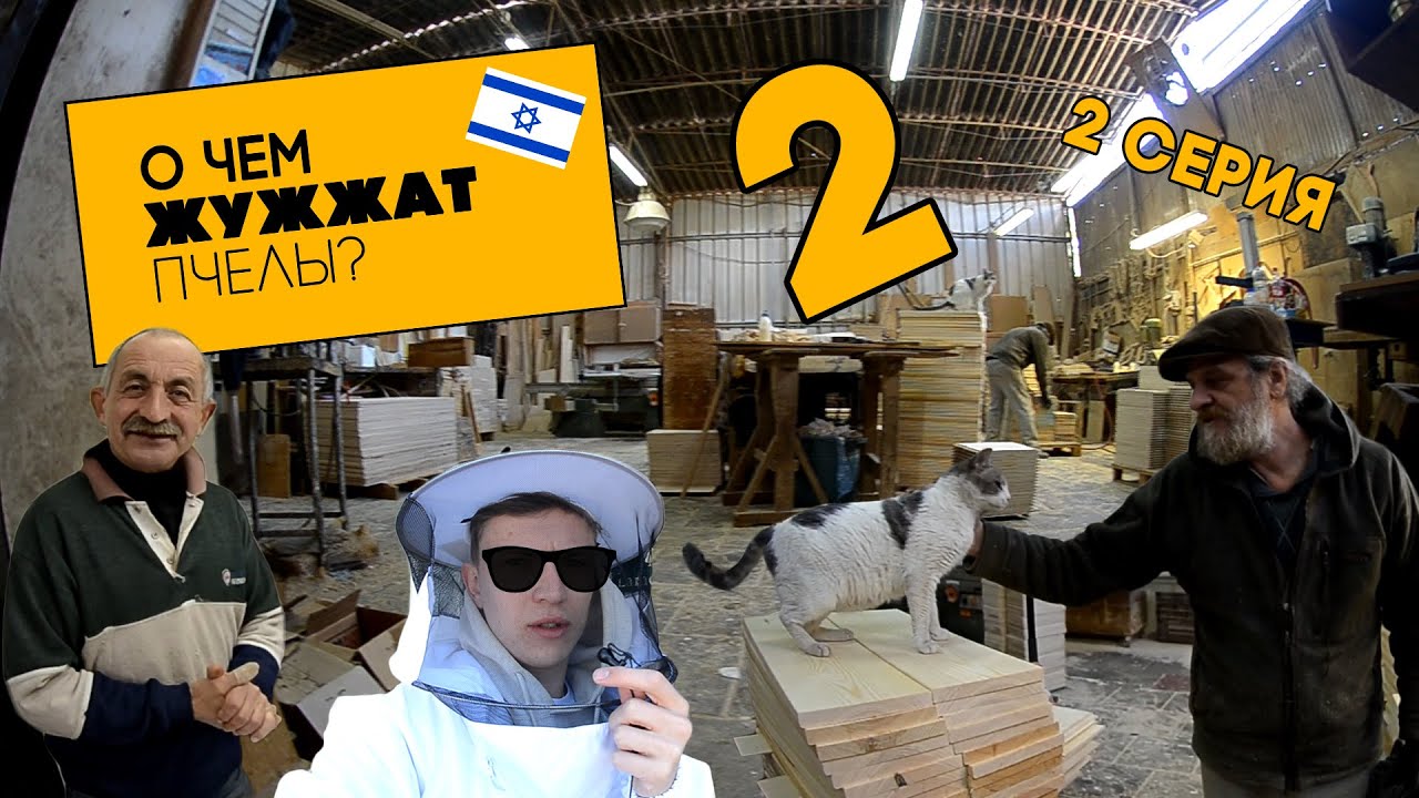 О ЧЁМ ЖУЖЖАТ ПЧЁЛЫ (выпуск 2/ серия 2) - 