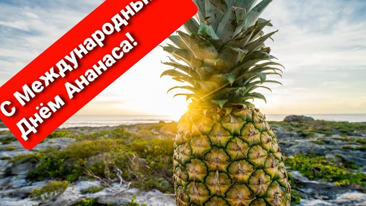 Позитивный День ананаса (стихи мои, музыка Suno.com)