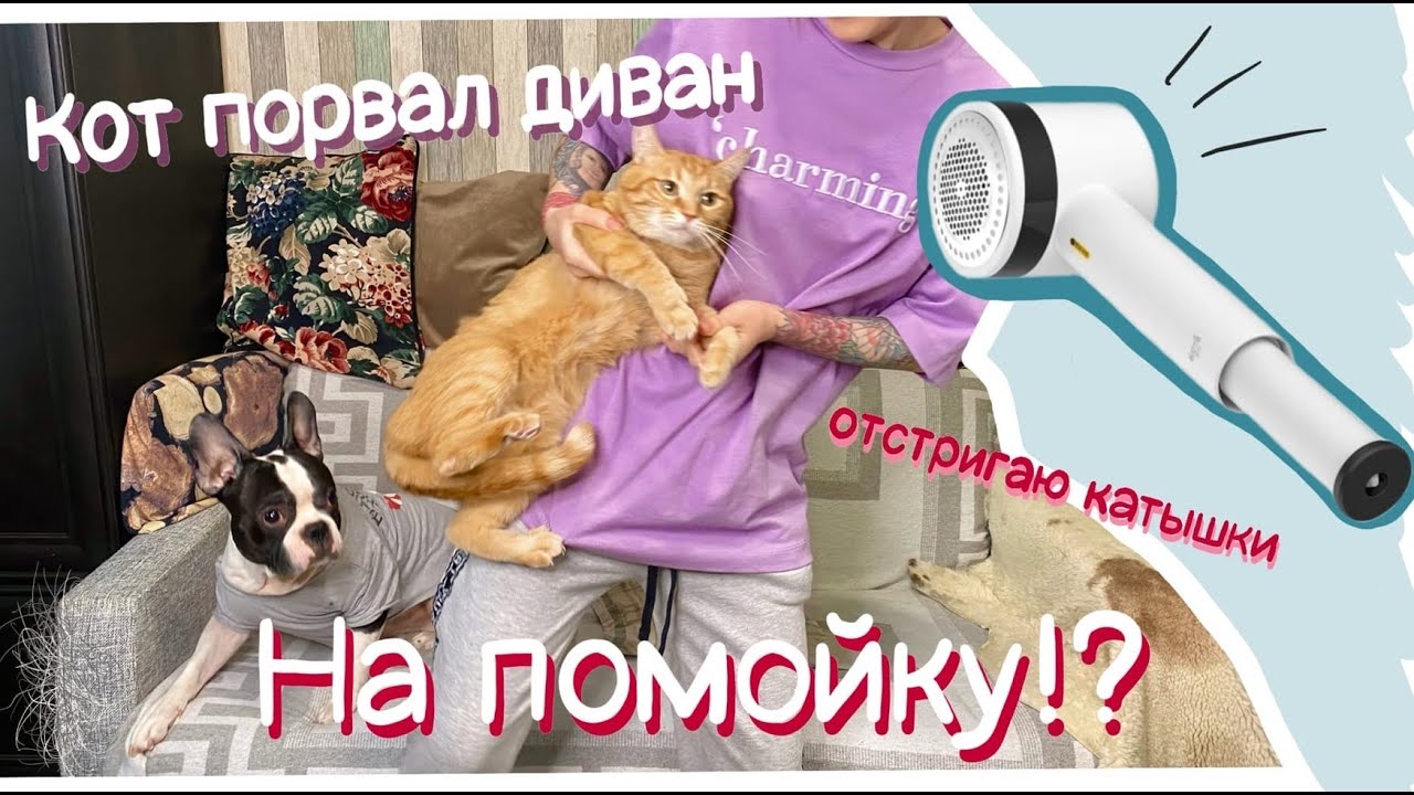 Xiaomi Deerma | КОТ УНИЧТОЖИЛ ДИВАН | МОЖЕТ НА ПОМОЙКУ?