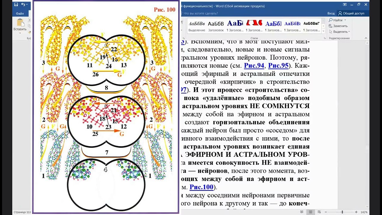 Нейроны мозга Ответственность каждого за то что Смотрит Слышит без Осмысления. Книги Левашова Н.В.