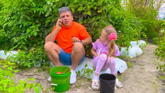 Настя и папа собирают овощи и ягоды на ферме для мамы