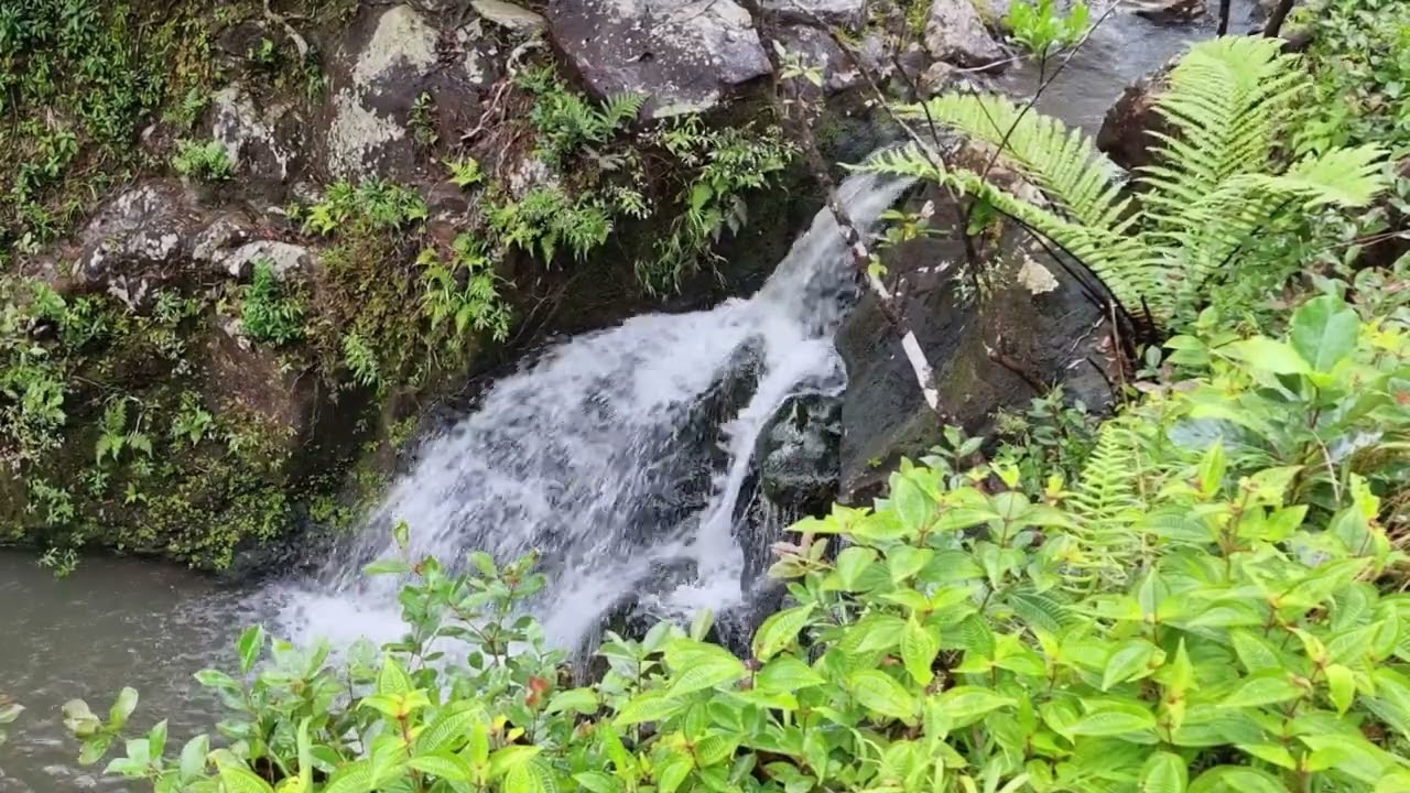 Водопад, 5 минут релакса, живой звук Waterfall, 5 Minutes Of Relaxation, Live Sound #relaxation