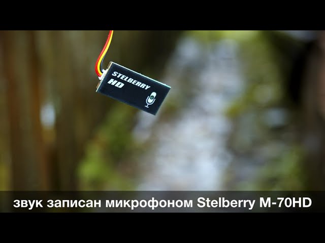 Микрофон Stelberry M-70HD. Дождь...