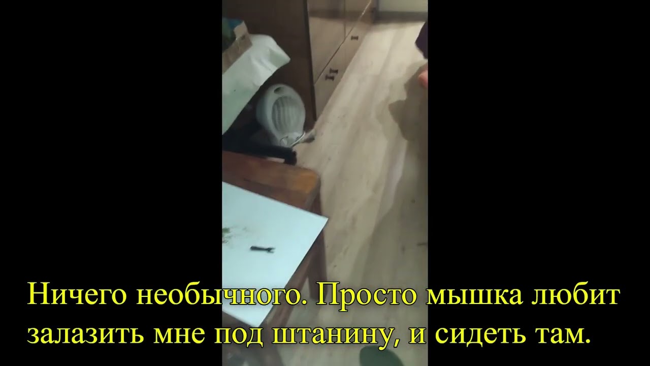 Мышка Наружка