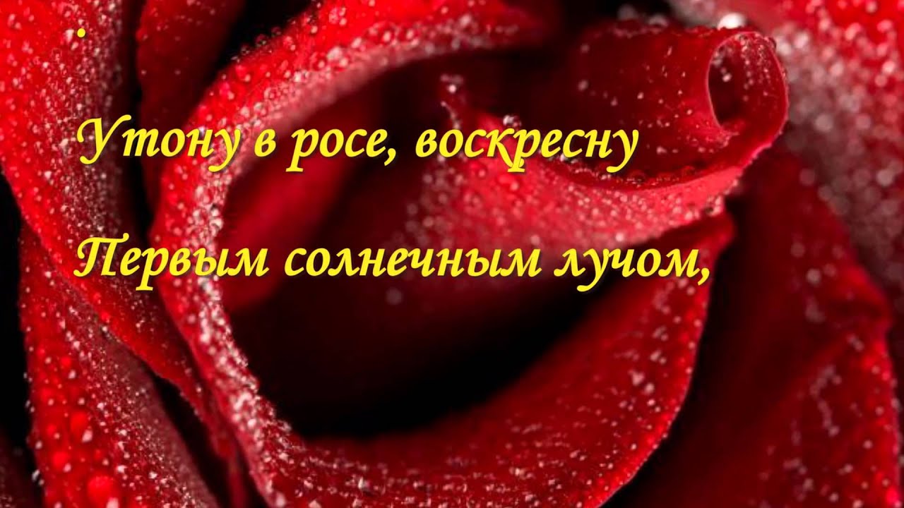 Эти шикарные цветы....