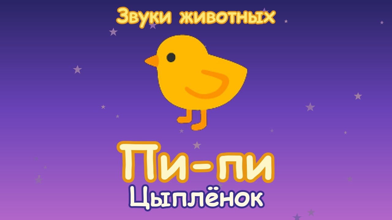 Что говорит цыплёнок?  Звуки животных для малышей  PagePeekaboo