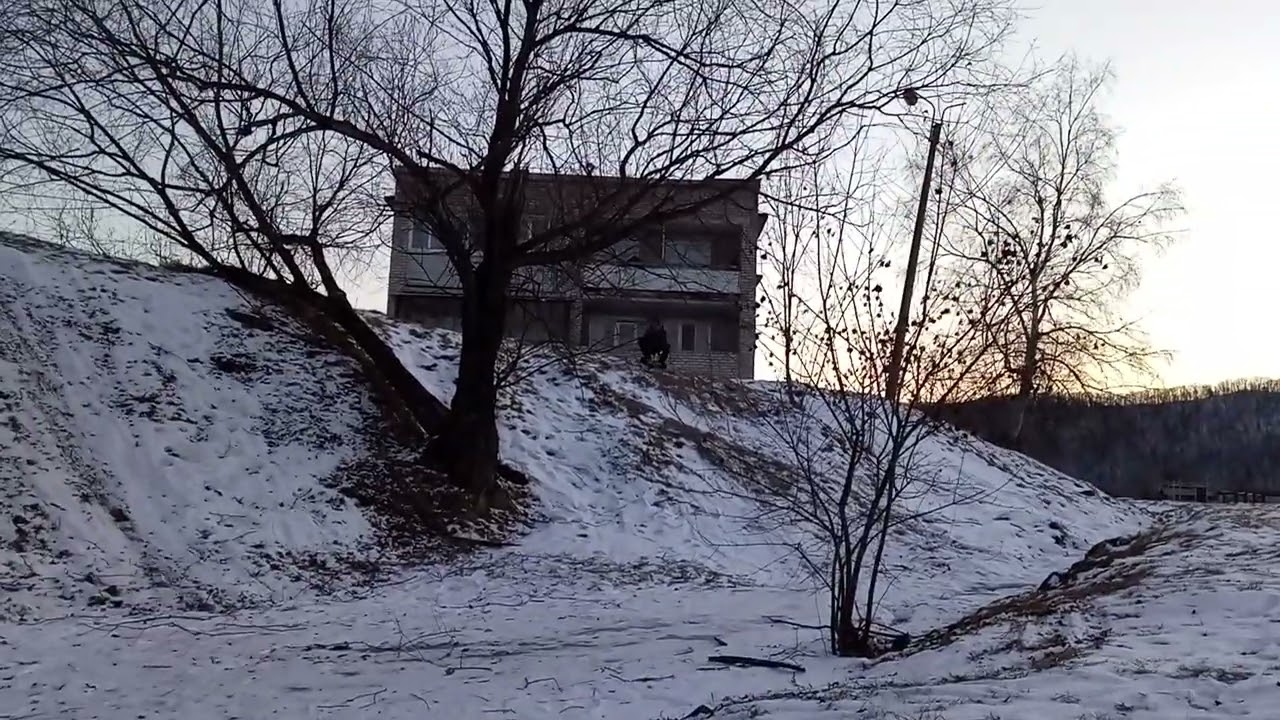 Улетел в ветка все лицо в крови