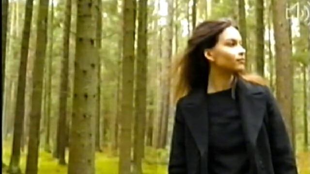 Как отличается скорость записи SP и LP на видеомагнитофоне.