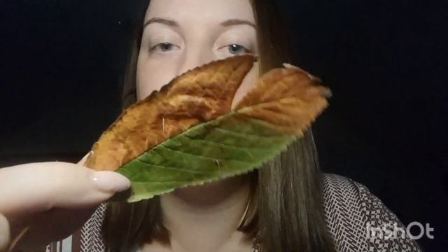 асмр тихий голос, уют✨️ / звук с микрофоном, ура ☆ | Перезалив.
