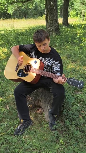 Ойся ты ойся фингерсстайл кавер на гитвре