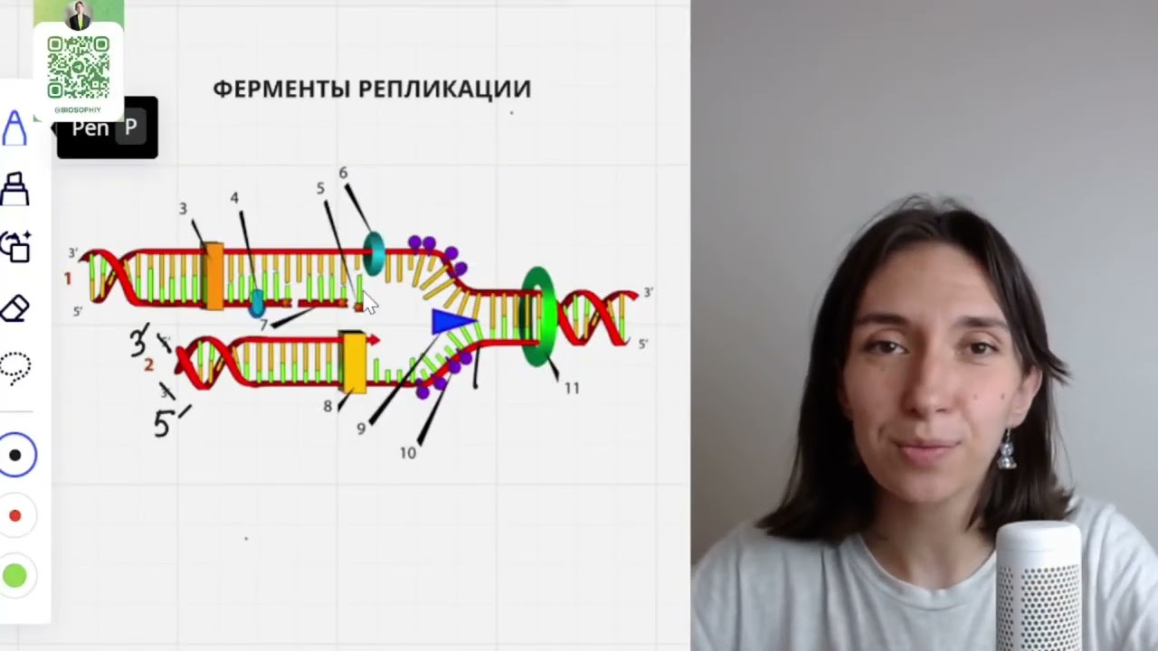 ФЕРМЕНТЫ РЕПЛИКАЦИИ за 5 минут!