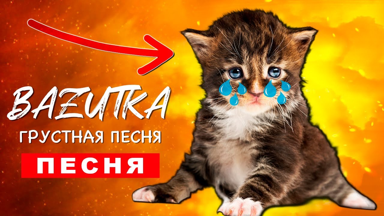ГРУСТНАЯ ПЕСНЯ ПРО ГОВОРЯЩУЮ КОШКУ Базутка ПЧЕЛОВОД ПАРОДИЯ КАДИЛЛАК моя говорящая кошка анимация