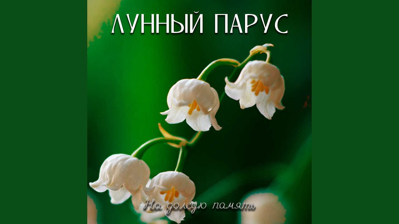 Неоновый лес