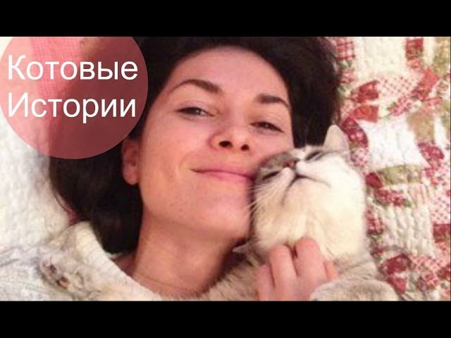 Случайно записанное видео про кошку.