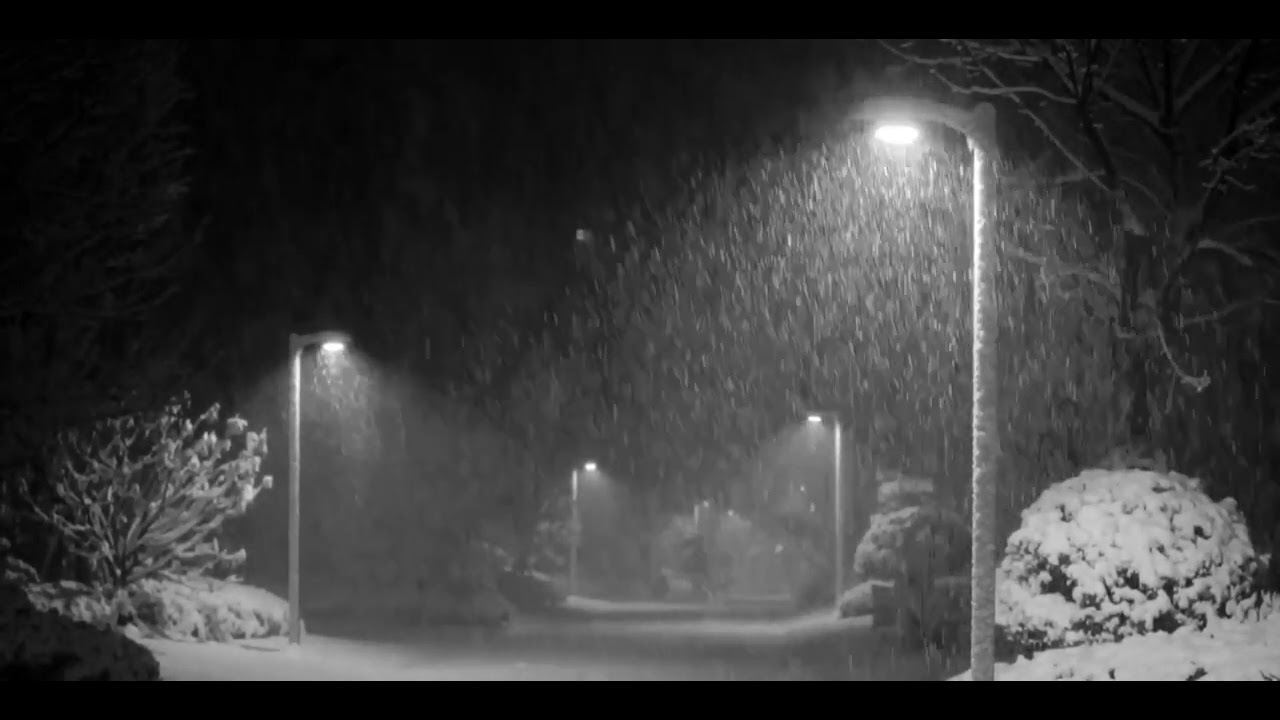 Winter, Snowfall, Night 1h Asmr || зима, снегопад, ночь 1ч асмр.